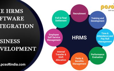 The HRMS Software Integration In Business Development
