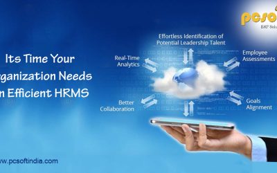 IT’S TIME; YOUR ORGANIZATION NEEDS AN EFFICIENT HRMS!