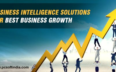 BUSINESS INTELLIGENCE SOLUTIONS FOR BEST BUSINESS GROWTH