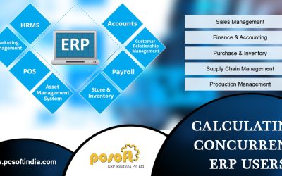 ERP SOFTWARE: CALCULATING CONCURRENT ERP USERS