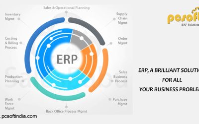 ERP, A BRILLIANT SOLUTION FOR ALL YOUR BUSINESS PROBLEMS