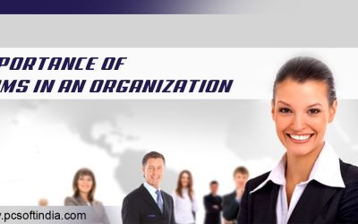 IMPORTANCE OF HRMS IN AN ORGANIZATION