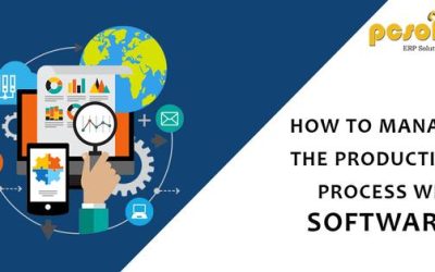How To Manage The Production Process With Software?