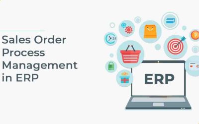 Sales Order Process Management in ERP