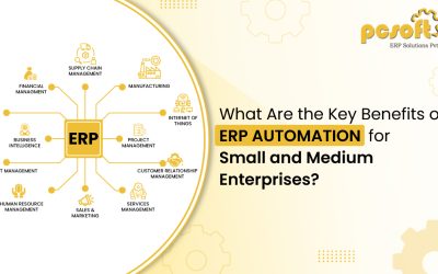 What Are the Key Benefits of ERP Automation for Small and Medium Enterprises?