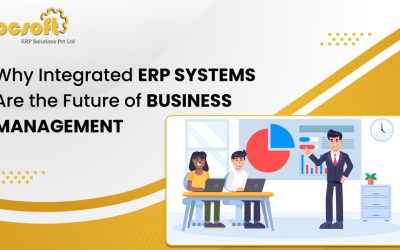 Why Integrated ERP Systems Are the Future of Business Management